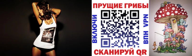 Псилоцибиновые грибы MAGIC MUSHROOMS  купить наркоту  Ильский 